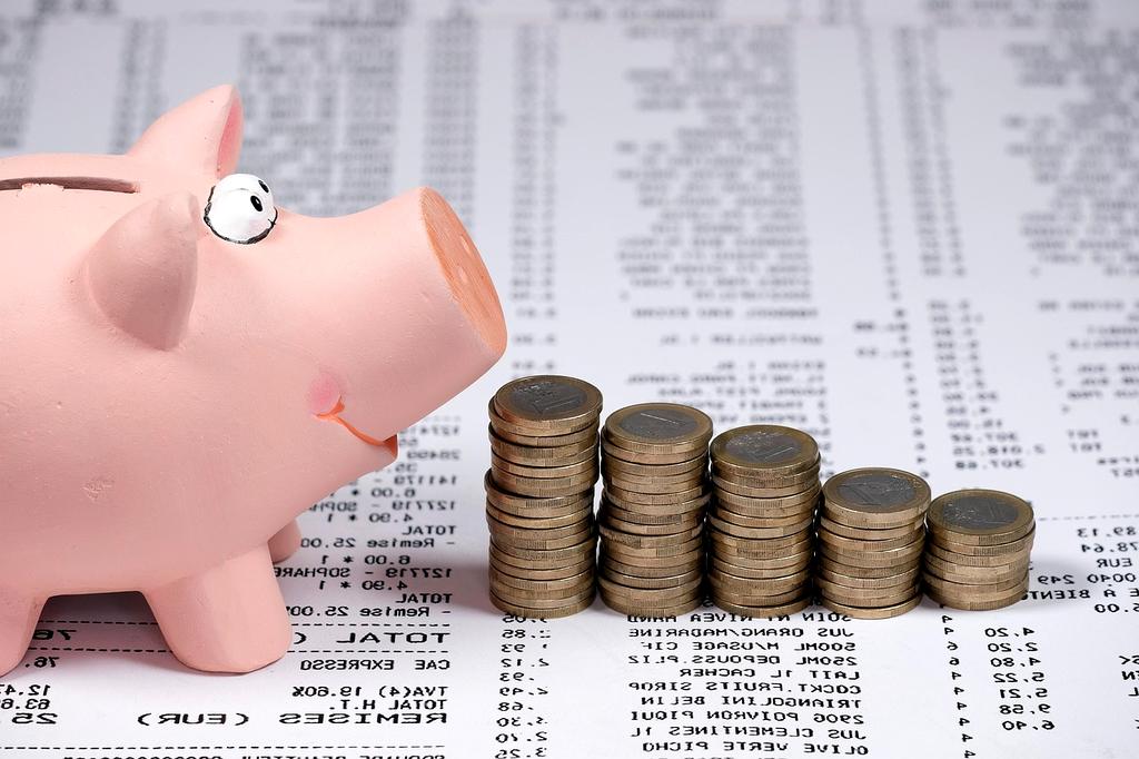 Piggy bank with coins and plant growing
