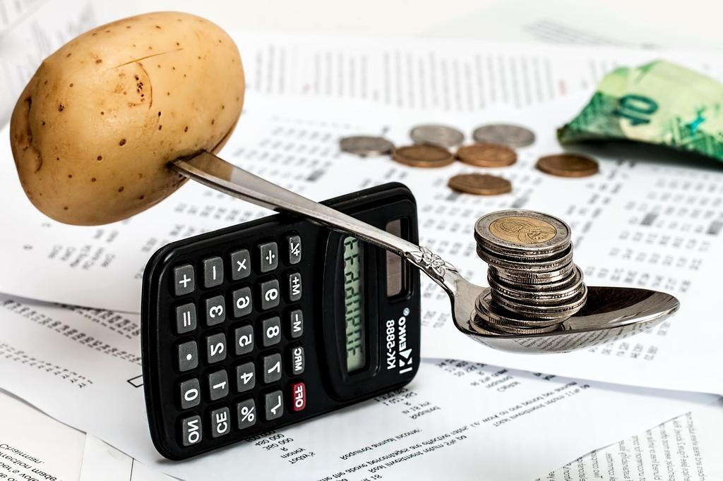 financial literacy/budget allocation
